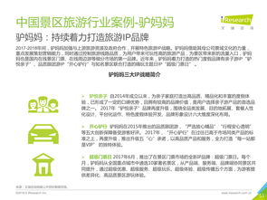 2018年中国景区旅游消费研究报告 票务代理的关键作用与市场趋势